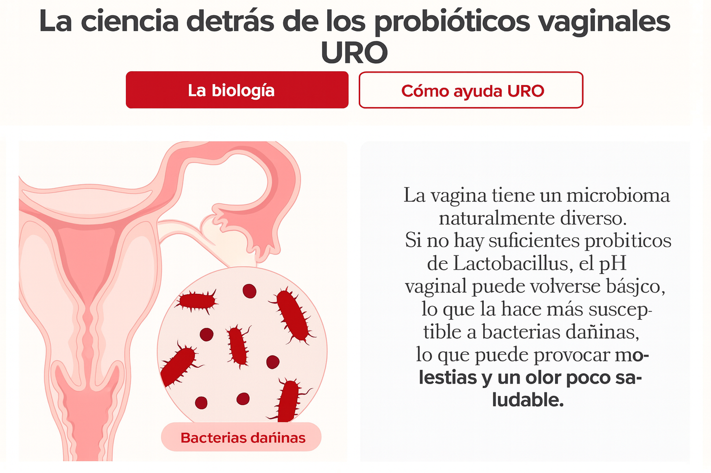 💗 URO VAGINAL PROBIOTICS 60 Cápsulas - Salud Íntima Femenina y Equilibrio del pH